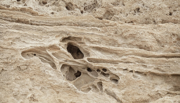 Eroded sandstone rock surface with layered strata and natural cavities for geological and environmental backgrounds and textures