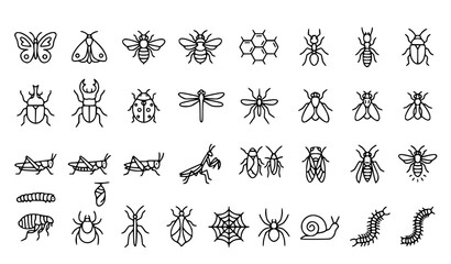 Modern Insect Linear Outline Icon Pack Editable Stroke Nature and Wildlife Vector Symbols © nezam