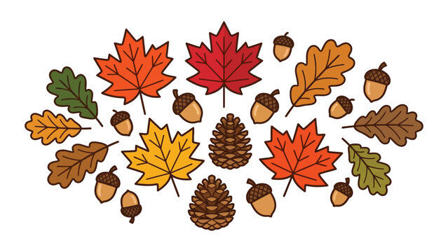 Flat vector seasonal autumn foliage collection with acorns arranged against clean white background