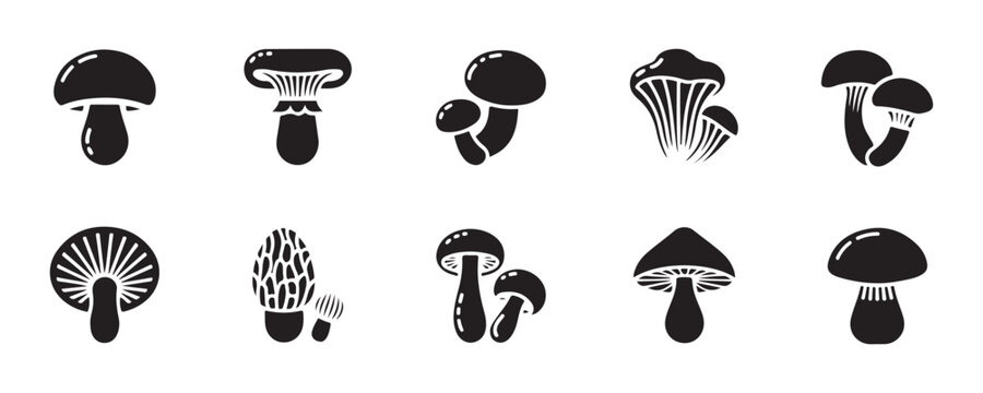 Premium mushroom icons pack featuring detailed fungal silhouettes including morel and chanterelle varieties.
