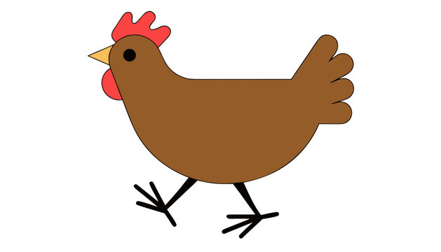 Hen isolated on white background 