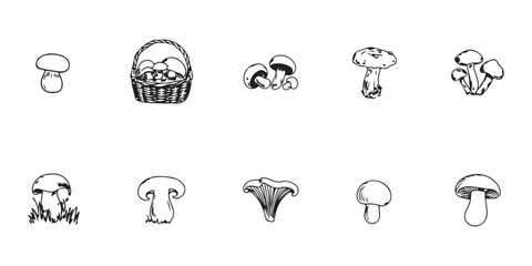 Fototapeta premium Collection of hand drawn mushrooms and basket isolated on transparent background vector illustration.