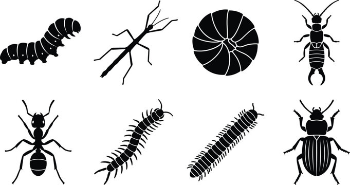 Insects and Crawling Bugs Silhouette Set Featuring Caterpillar, Stick Insect, Pill Bug, Earwig, Ant, Centipede, Millipede, and Beetle