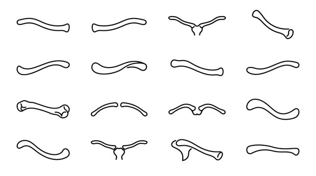 Collage of Clavicle Bone Illustrations