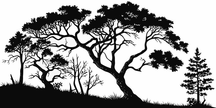 Dark enchanted forest silhouette with twisted trees against white background, dark forest