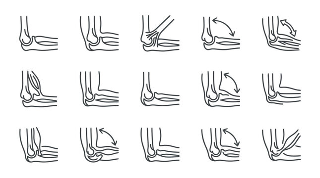 Elbow Joint Anatomy and Movement Diagrams
