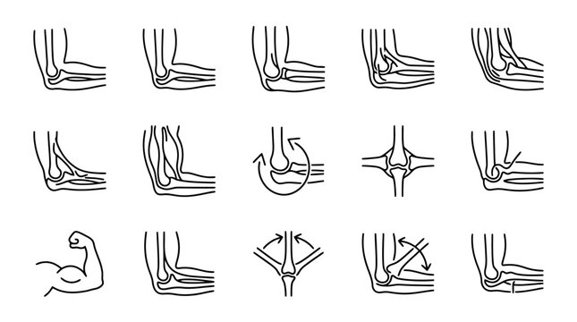 Elbow Joint Anatomy and Movement: Medical Diagram Icons