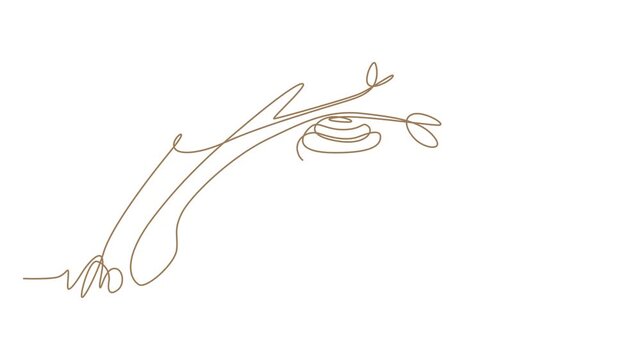Minimalist continuous line art beehive on tree branch, brown outline bee nest vector illustration, elegant hand drawn nature sketch for logo 4k video