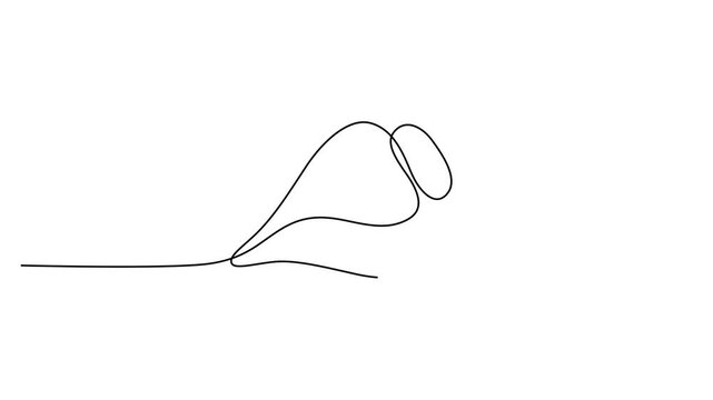 Minimalist seashell continuous line drawing, elegant sea shell vector illustration, black and white nautical conch shell art for coastal branding 4k video