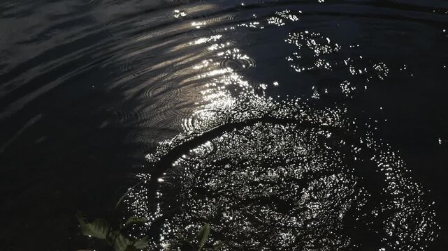 Close-up of sunlight shimmering on dark rippling water with raindrops in super slow motion, creating an abstract nature background of calm, reflection, serenity, and peaceful atmosphere.