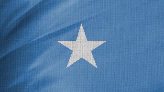 Somalia Flag Animation With Fabric Texture