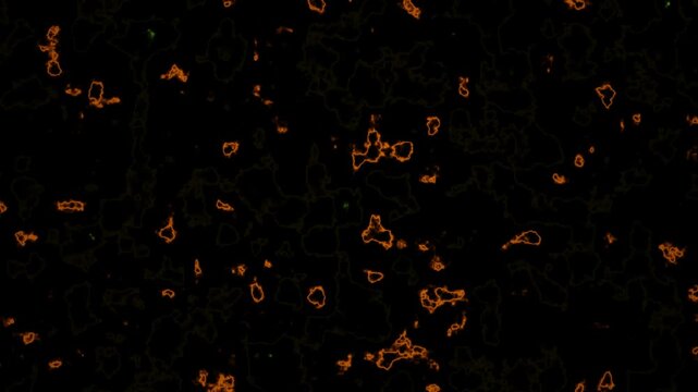 Golden organic patterns flow continuously across a seamless dark background in a looping motion.