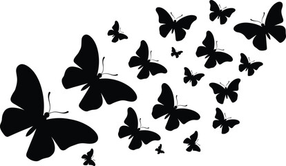 A swarm of black butterfly... fauna desi © MST Hasina