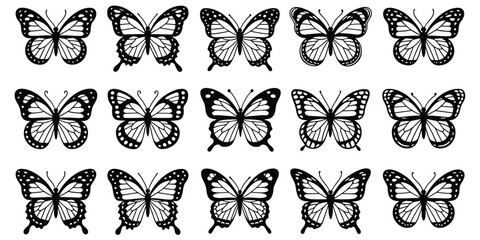 Fifteen black and white detailed line © MST Hasina