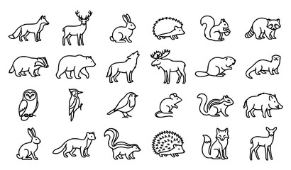 Obraz premium Woodland Animal Line Art Vector Set with Forest Mammals and Hedgehogs