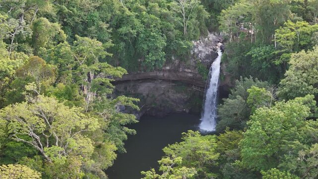 Waterfall flows into a pool below, with dense green trees all around.