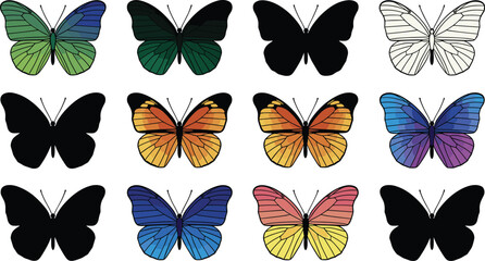 Twelve butterflies in a grid, summer © MST Hasina