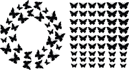 Two arrangements of black butterfly... d © MST Hasina