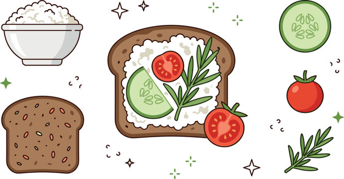 Healthy toast vector set with cottage cheese spread tomato slice cucumber rosemary and whole grain bread