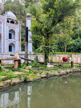 White Bengal tiger in an artificial zoo habitat, surrounded by lush greenery, a pond, and themed architectural structures, highlighting wildlife conservation and captive animal care.