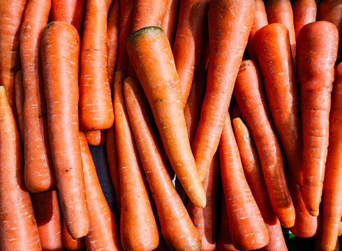 Fresh, high-quality carrots piled for sale at a local market, showcasing vibrant orange color, natural texture, and nutritious agricultural produce ready for shoppers and cooking.
