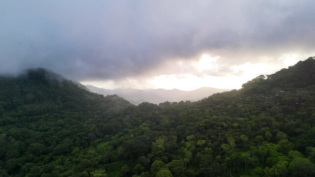 Morning light breaks through clouds over a lush green forest and mountains.
