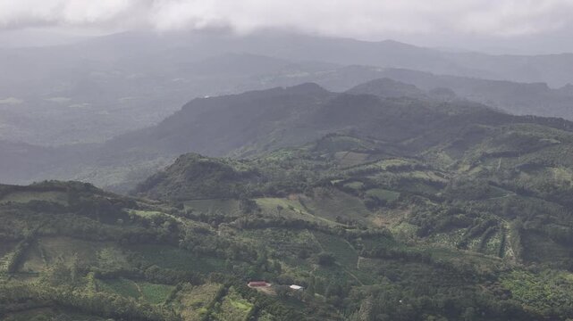 Agricultural farm on mountain green field with coffee plantation aerial drone view