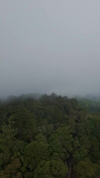 Vertical video. Aerial View of Cloud Covered Forest Ridge Near Lake Batur, Dramatic Volcanic Highlands and Misty Landscape