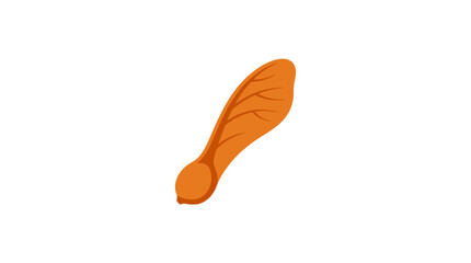 Orange maple samara seed pod icon. © kosong