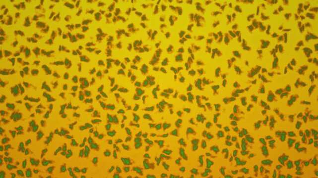A seamless looping video background displaying a pattern of green and orange spots on yellow.