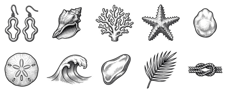 Ocean and beach icons set. Summer vacation and marine life concept. Includes earrings, seashell, coral, starfish, pebble, sand dollar, wave, palm leaf, rope knot. Engraving style
