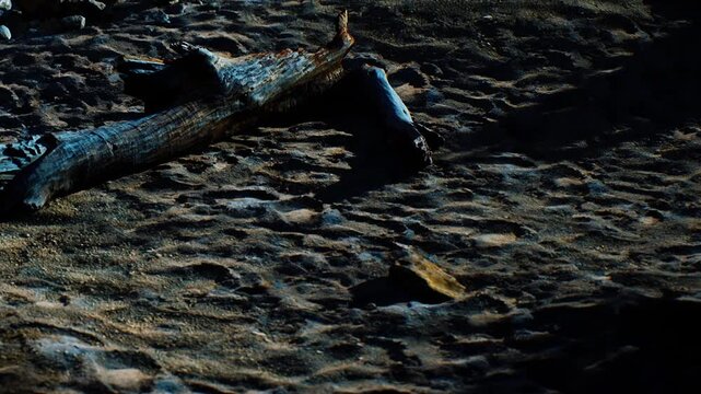 A wooden log is resting on sandy ground surrounded by rocks. The scene shows a natural landscape with varying textures and colors. Sunlight creates shadows on the surface.