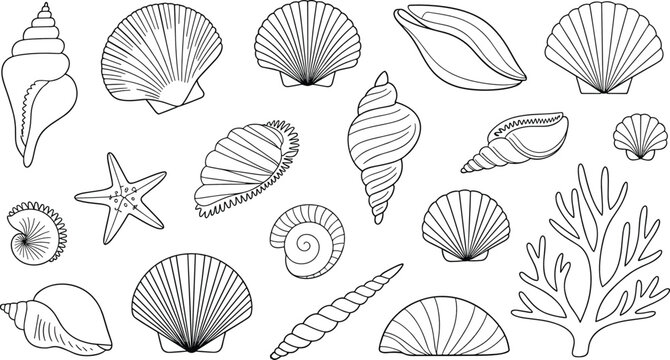 Seashell elements flat vector illustration set. Black outline scallop shells, spiral conchs, starfish, and coral branches form a marine beach collection.