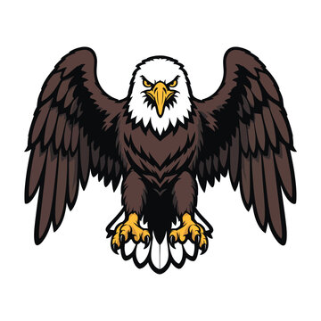 Bald Eagle Bird Illustration With Spread Wings And Sharp Talons