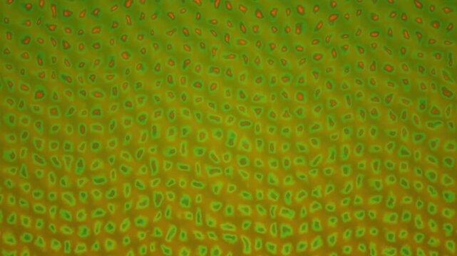 Abstract texture resembling a looping surface with green cellular shapes and orange accents against an organic yellowgreen background.