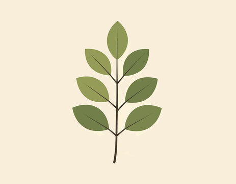 A simple illustration of a green leaf stem with multiple leaves on a neutral background