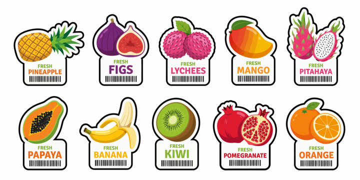 Set of fresh tropical and exotic fruits illustrated in colorful hand drawn style