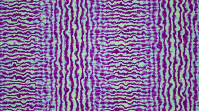 A seamless pattern featuring wavy vertical lines in vibrant purple and turquoise colors suitable for looping backgrounds.