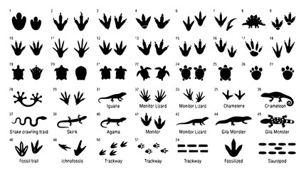 Obraz premium : Reptile and Dinosaur Track Icons Black Footprint Vector Set