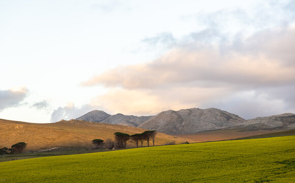 rolling fields at sunset, Stanford, South Africa