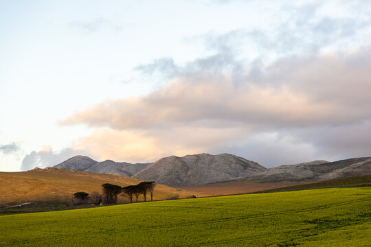rolling fields at sunset, Stanford, South Africa