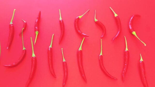 Vibrant flat lay arrangement displays fresh red chili peppers scattered across a matching solid red backdrop