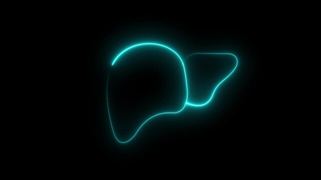 Human Liver Anatomy Icon with Glowing Red Neon Lines: Futuristic Medical Science Symbol, Internal Organ Health Concept, and Cyberpunk Biological UI Graphic..
