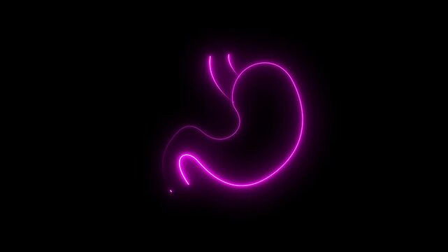 Human Stomach Layout: Abstract Futuristic Gastroenterology Health Symbol, Internal Organ Protection Icon, and Biology Outline for Tech Presentation 4k motion garphcs..