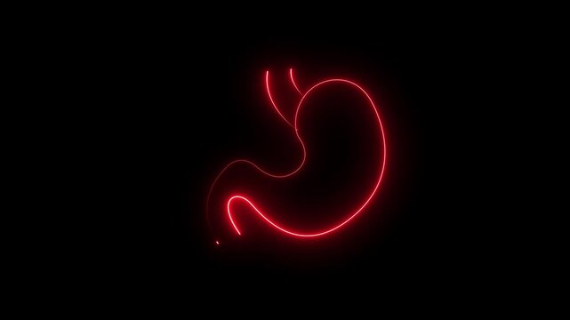 Human Stomach Layout: Abstract Futuristic Gastroenterology Health Symbol, Internal Organ Protection Icon, and Biology Outline for Tech Presentation 4k motion garphcs..