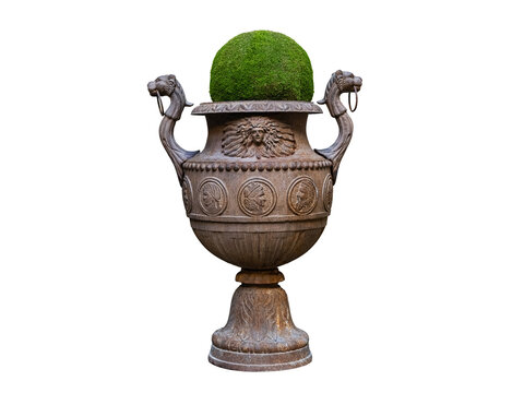 An ornate classic stone urn with a moss ball on white background.
