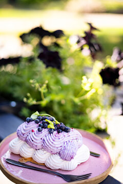 Elegant blueberry dessert featuring whipped cream, blueberry mousse and fresh blueberries on a pink ceramic plate in an outdoor caf&eacute; with natural bokeh background.