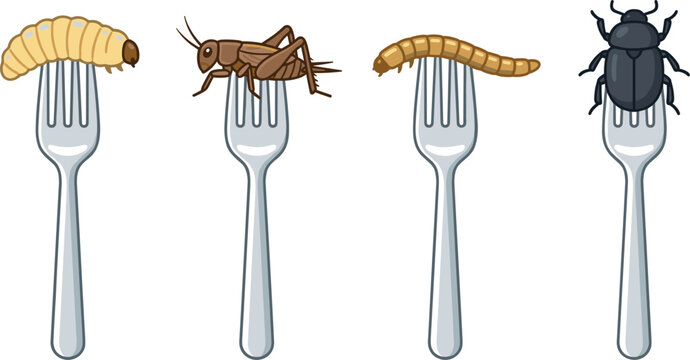 Edible Bugs and Larvae on Forks Collection Featuring Cricket, Grub, Mealworm, and Beetle for Sustainable Food and Alternative Nutrition Concepts