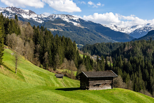original timbered buildings on a pasture in a meadow in the Tyrolean Windautal valley, in the background snowy alpine peaks and a blue sky with white clouds