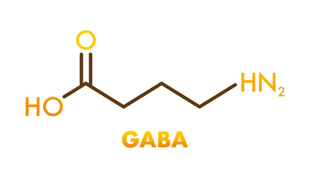 GABA neurotransmitter chemical skeletal formula structure
